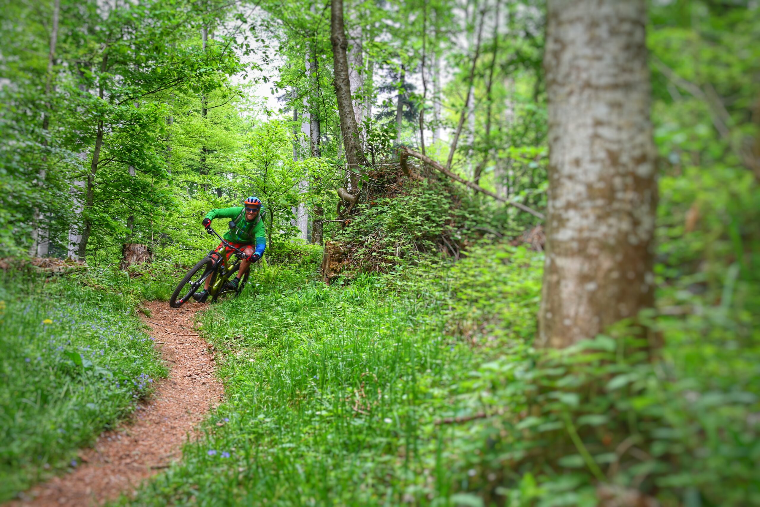 Mountain Bike Improver Course