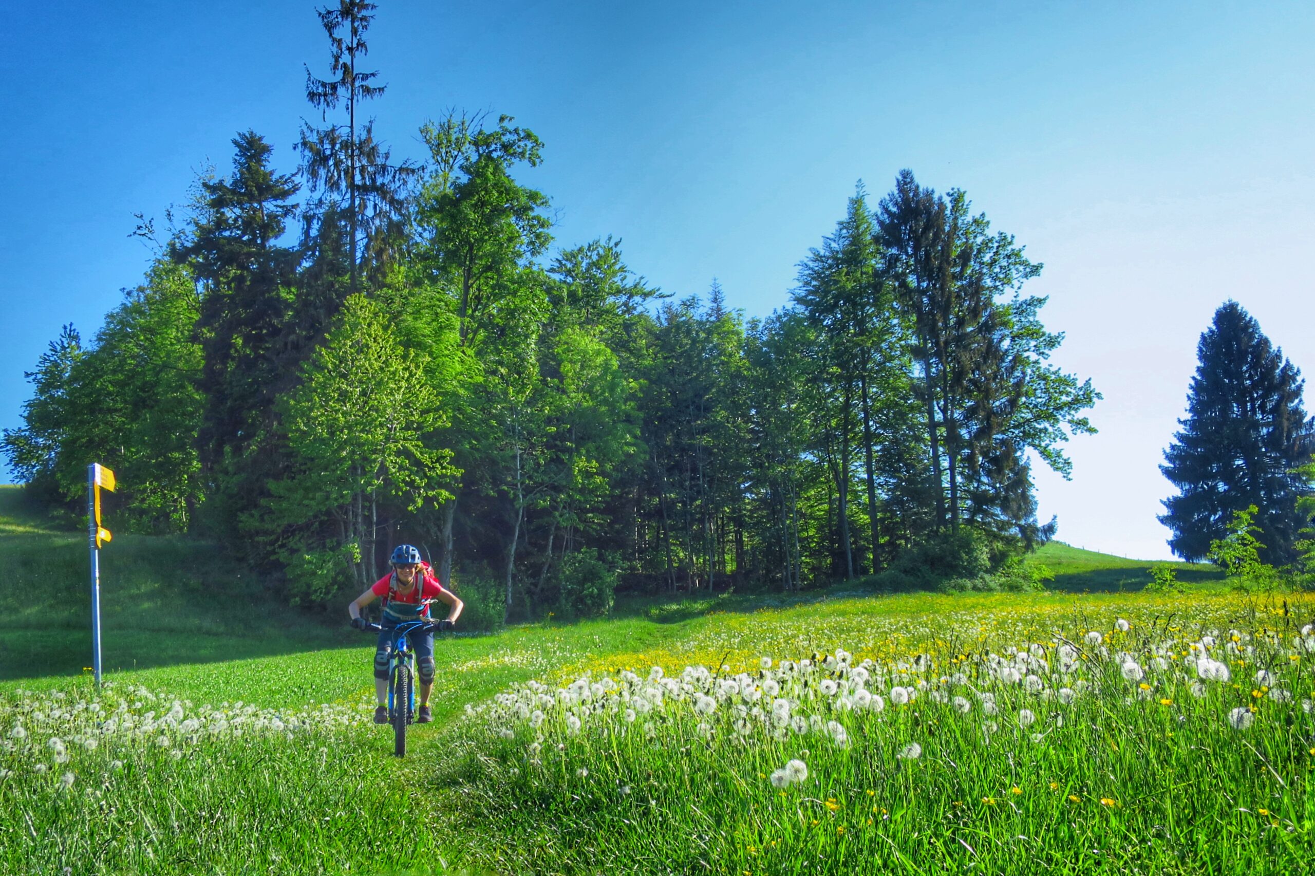 Afterwork MTB Ride